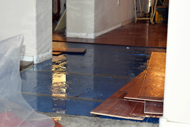Professional Sewage Cleanup technician working in Brokaw, WI